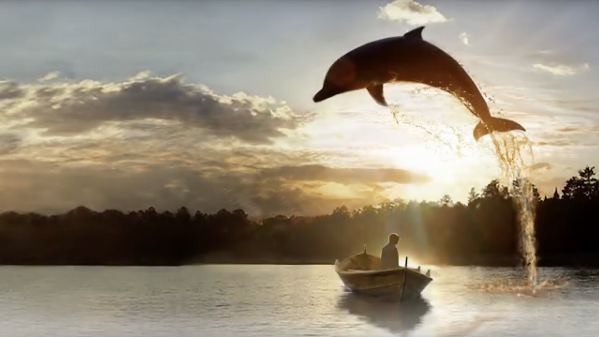 A Dolphin in Our Lake