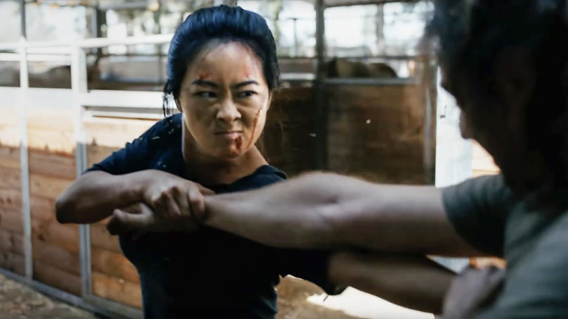 Bonds of Brotherhood